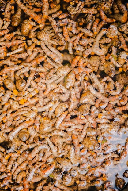 Many fresh turmeric roots as background