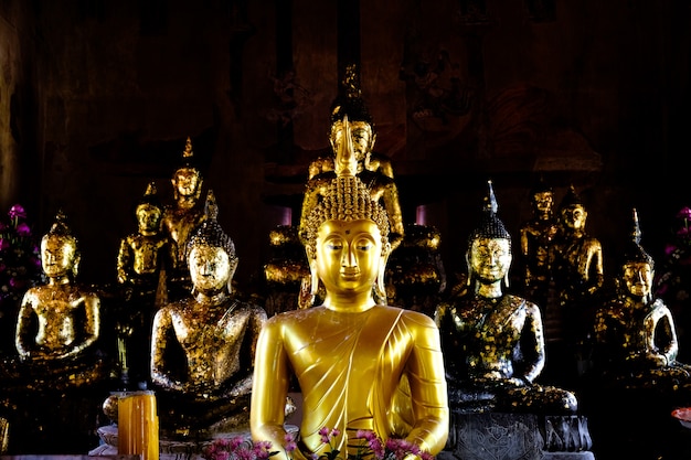 Many golden Buddha Statue arranged a colorful of black background ancient temple 