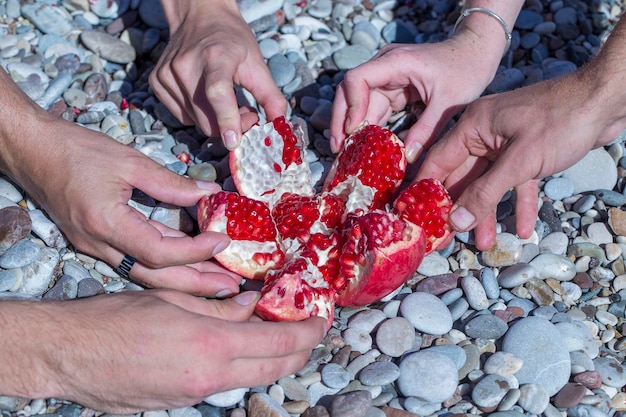 Many hands of people taking red pomegranate slices eating and people concept close up