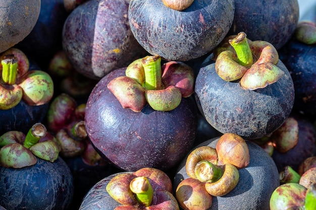 Many mangosteen to sell at the markets in Thailand