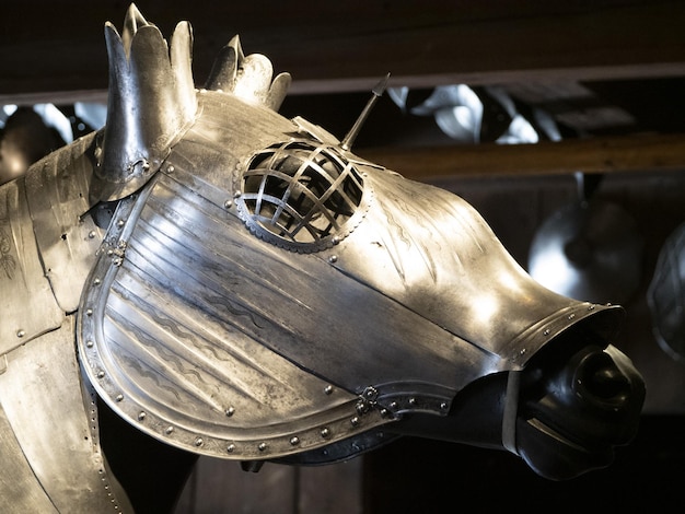 Many medieval iron metal horse armor