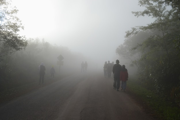 Many people walk on foggy streets.