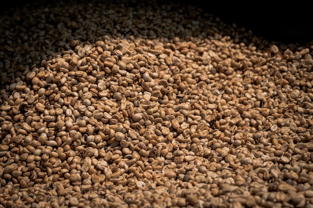 Many raw coffee beans are waiting to be cooked.