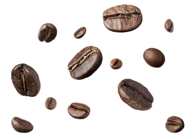 Many roasted coffee beans flying on white background