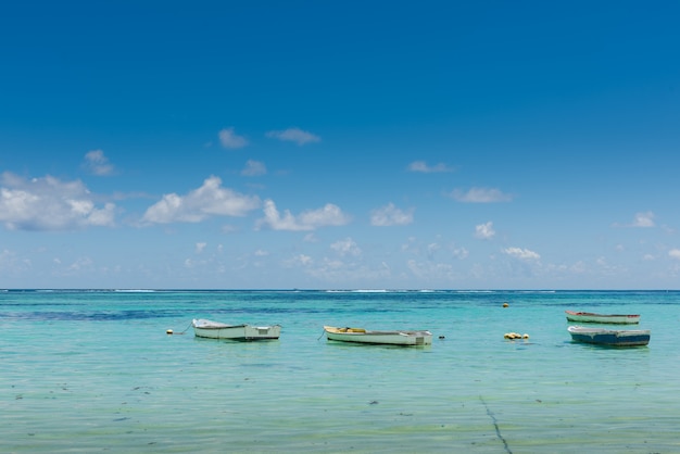 Many small boats near indian ocean coastline