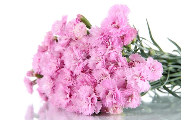 Many small pink cloves isolated on white