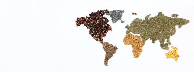 Map of world made from different kinds of spices