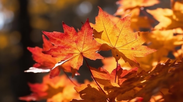 Maple leaves in autumn colors closeup Selective focus