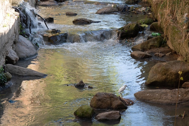 Maracana River