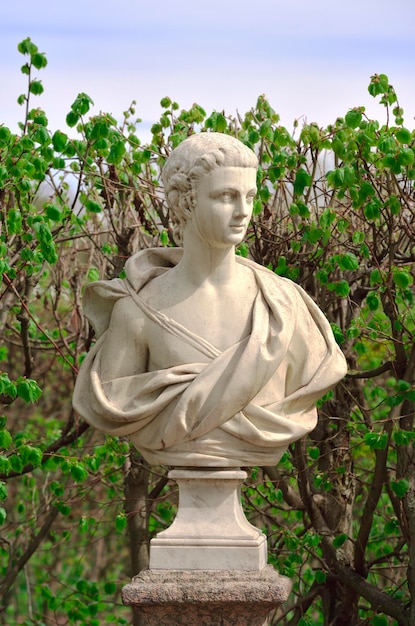 Marble bust with garden