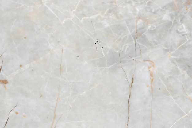 Photo marble grey background