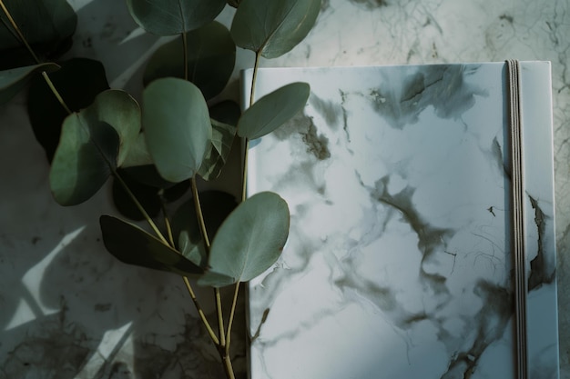 Marble Notebook with Eucalyptus Leaves on a Marble Table