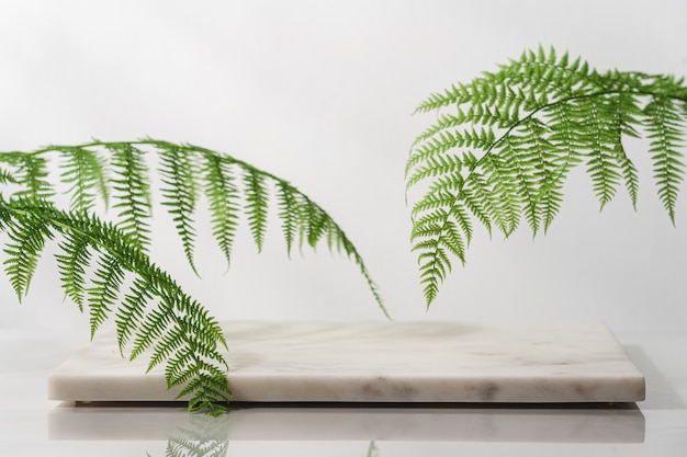 Marble tray podium for cosmetics with fern leaves