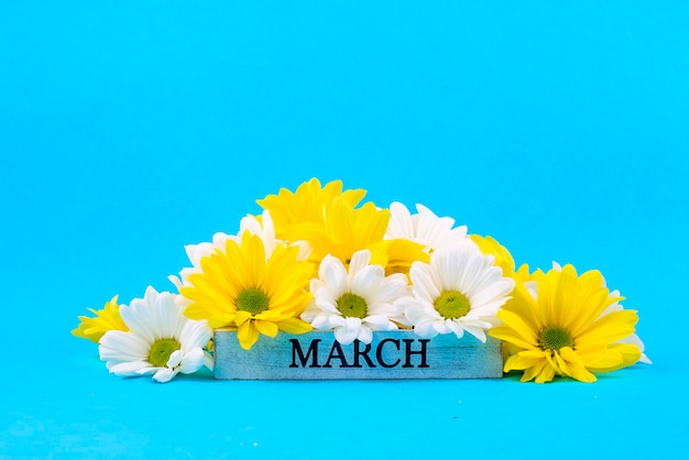 March 8th calendar, World of woman day