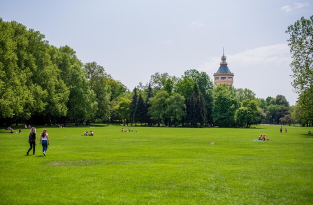 Margaret Island is in the middle of the Danube in central Budapest Hungary