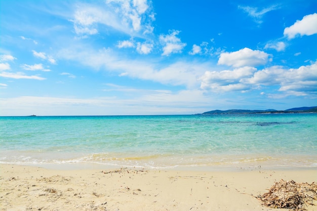 Maria Pia beach on a clear spring day Shot in Sardinia Italy