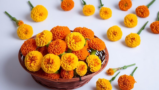 A Marigold flower in the basket white background