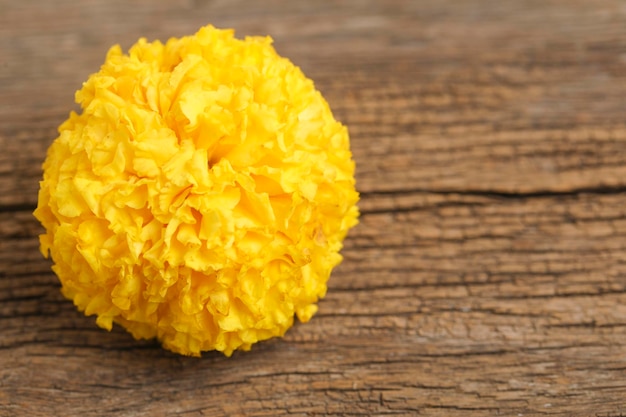 Marigold Flower for dasara Festival Indian Festival flower decoration