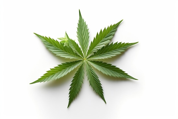 Marijuana Isolated on a Transparent Background AI