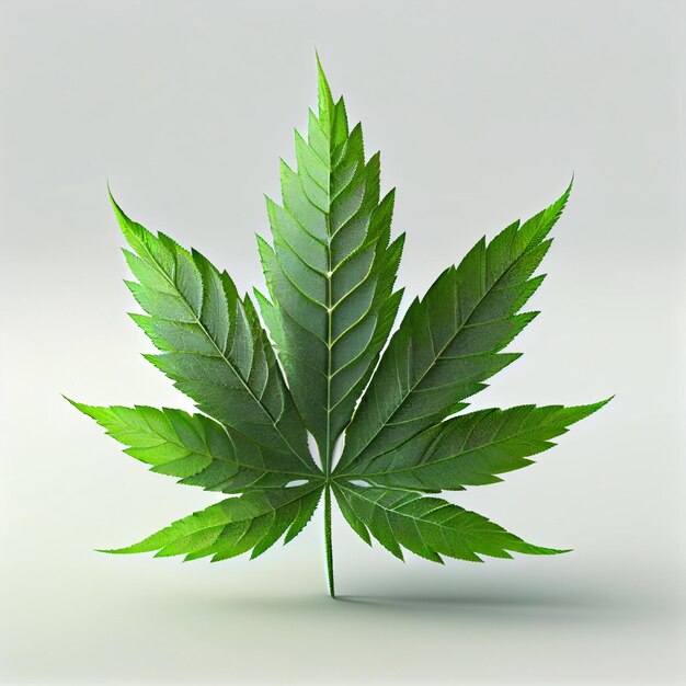 Marijuana leaf on abstract background psychedelic weed cannabis