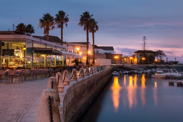 Marina with recreational boats