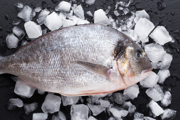 Marinated bream sea isolated on white surface.