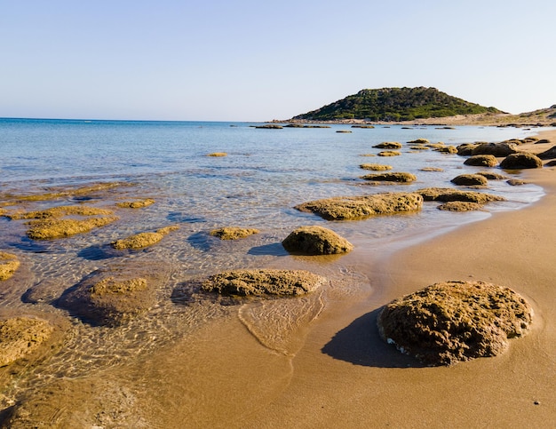 Marine background of the Mediterranean sea surface