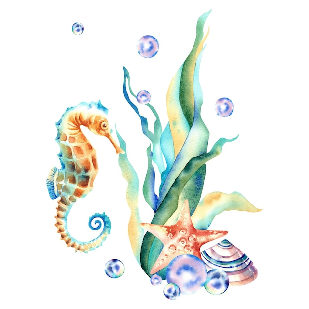 Marine composition Seahorse seaweed starfish and bubbles Watercolor illustration Underwater inhabitants