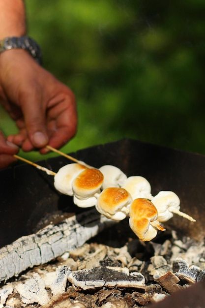 Marshmallows baked on coals Outdoor recreation outdoor entertainment