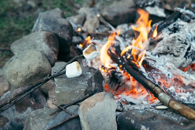 Marshmallows at sticks camping fire on background