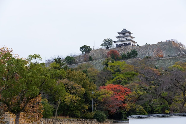 Marugame Castle in Japan at autumn