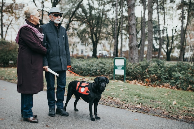 Mature blind man with a long white cane and his wife walking with their guide dog.