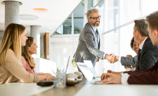 Mature businessman explaining strategy to group of multiethnic business people while working on new project in the office