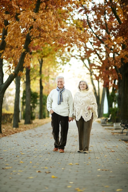 Mature couple walking in the autumn park