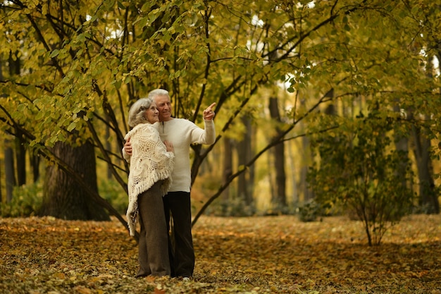 Mature couple walking in the autumn park