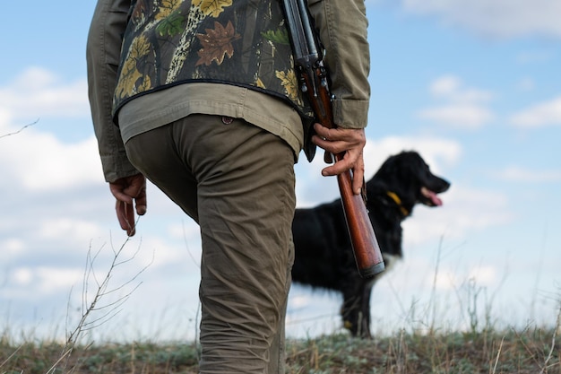 Mature man hunter with gun while walking on field with your dogs