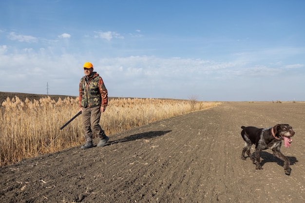 Mature man hunter with gun while walking on field with your dogs