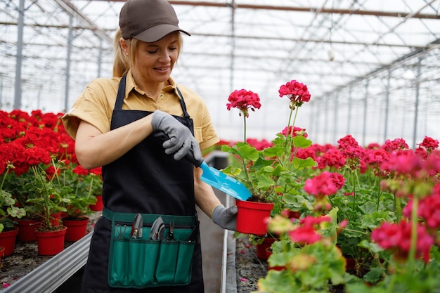 Mature woman in a greenhouse caring for potted flowers