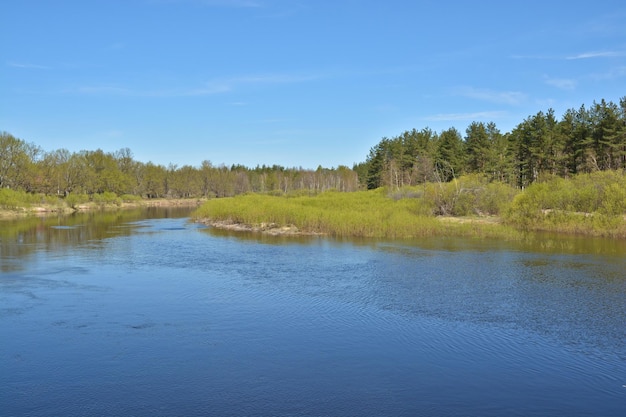 May morning at the forest river