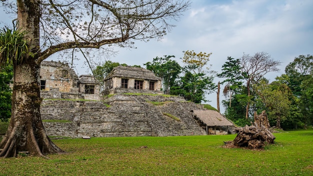 Maya Ruins in Palenque