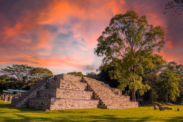 A Mayan pyramid next to a tree at the Copan Ruinas temples