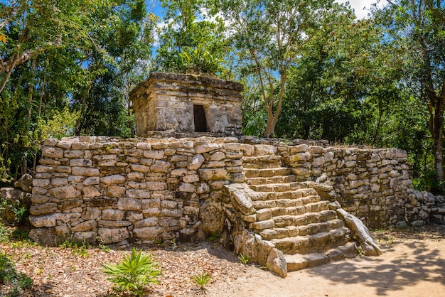 Mayan ruins in shadow of trees in jungle tropical forest Playa del Carmen Riviera Maya Yu atan Mexico