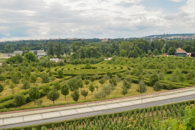 The maze is located in the center of the city.