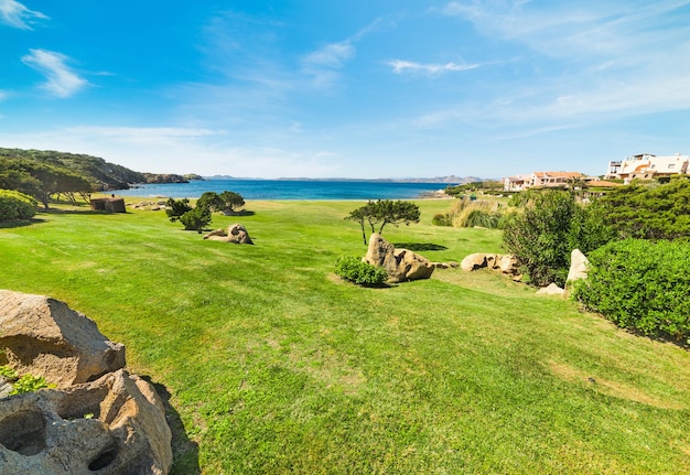 Meadow in Cala del Faro