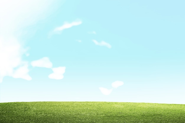 Meadow field with a blue sky background