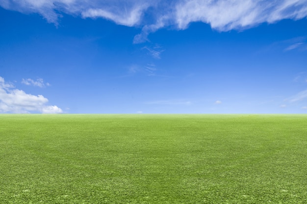 Meadow field with a blue sky background