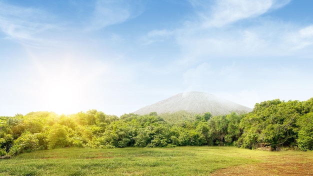 Meadow field with mountain