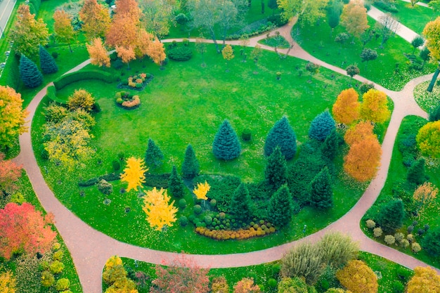 The meadow is surrounded by yellow and green trees, autumn landscape. Drone view.