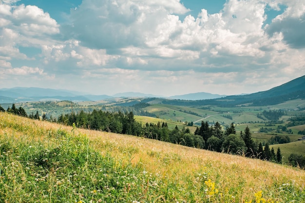 Meadow with flowers on the background of a mountain landscape The sky is blue with clouds Beautiful nature peace and harmony