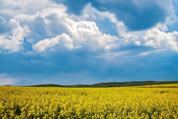 Meadows with a plant in a valley with fields against the background of the daytime sky in Bulgaria